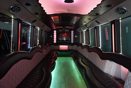 Ann Arbor Party Bus interior