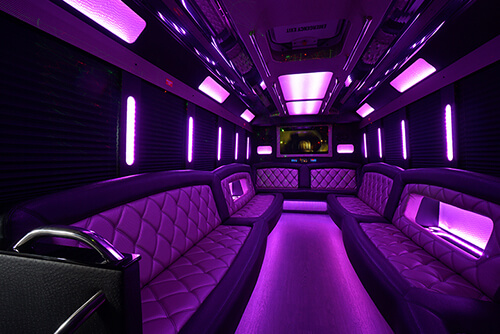 Flint Party Bus