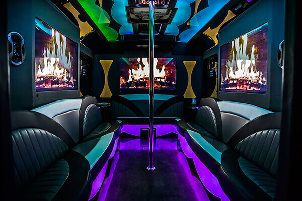 grand rapids party bus with leather seats
